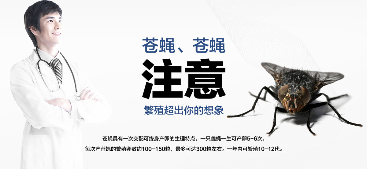 老鼠聰明超出你想象。