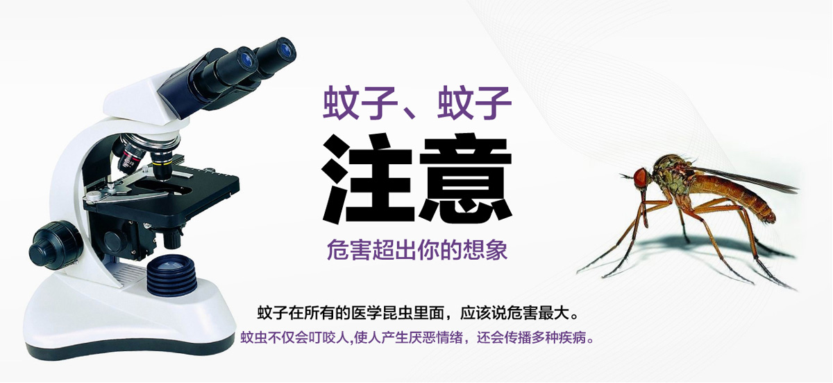 蚊子危害超出你的想象。